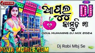 Apple Kamudi Kha Odia Hot Item Song Humming Bass Dj Mix 2024